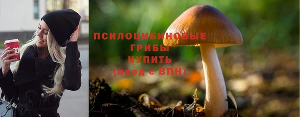 тгк Приозерск