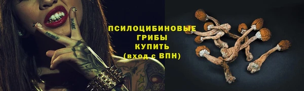 мет Протвино