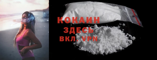 мет Протвино