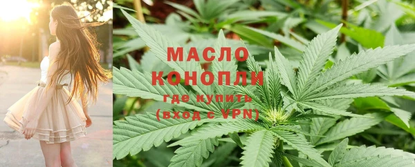 мет Протвино