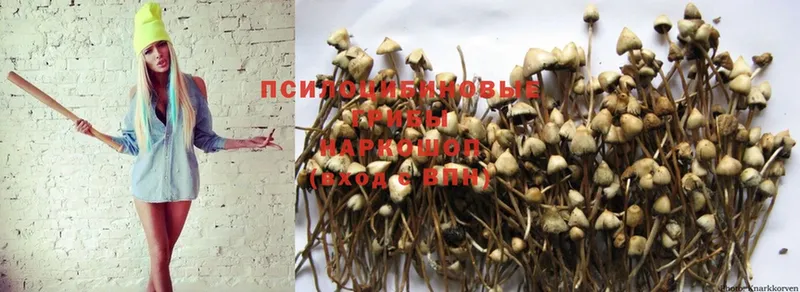 Галлюциногенные грибы Psilocybe  Александровск 