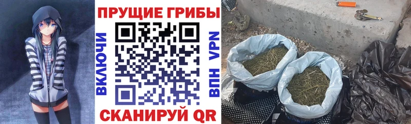 OMG рабочий сайт  Александровск  Галлюциногенные грибы мицелий 